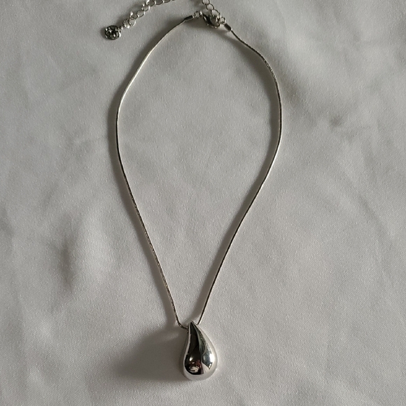 Sleek Silver Teardrop Pendant Necklace - Picture 1 of 4